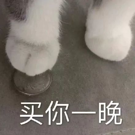 全是调戏男朋友的表情包