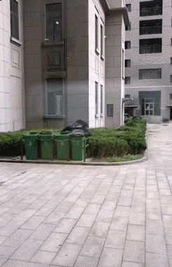 搞笑gif:大哥,明知是陷阱,你怎么还往里面跳