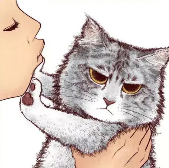 一组漫画告诉你,猫咪拒绝主人亲吻都是什么表情!
