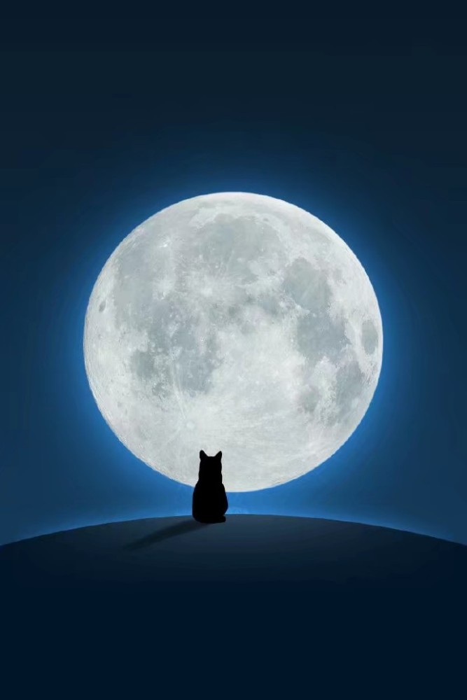 动漫图集,猫咪在月亮底下