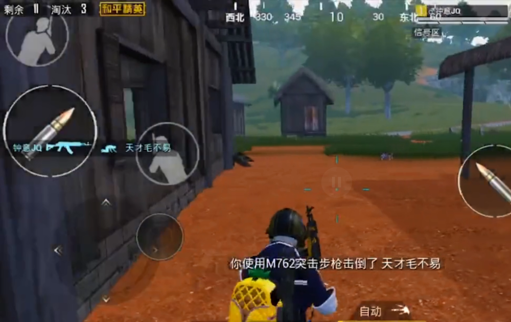 吃鸡:国际服游戏中,玩家现"龟壳"皮肤,共2种颜色获得好评