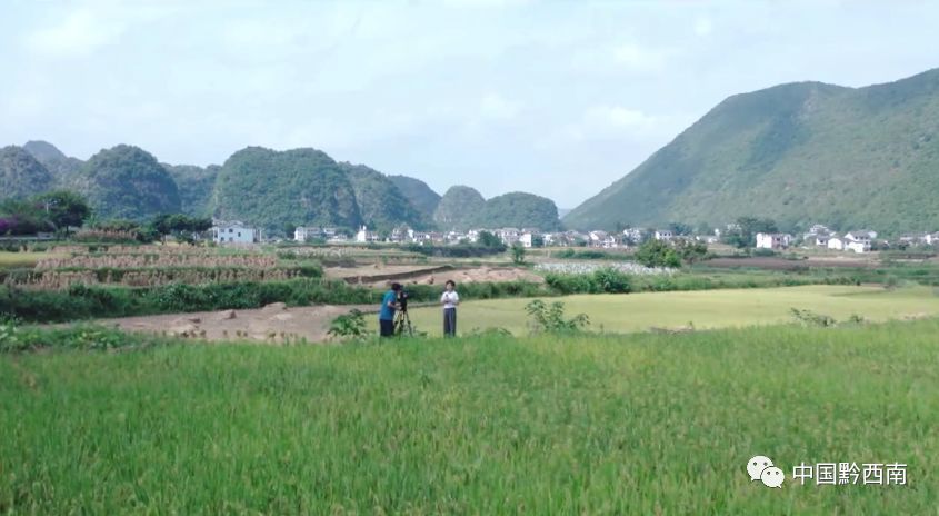 万峰林,直播,贵州广播电视台,黔西南州