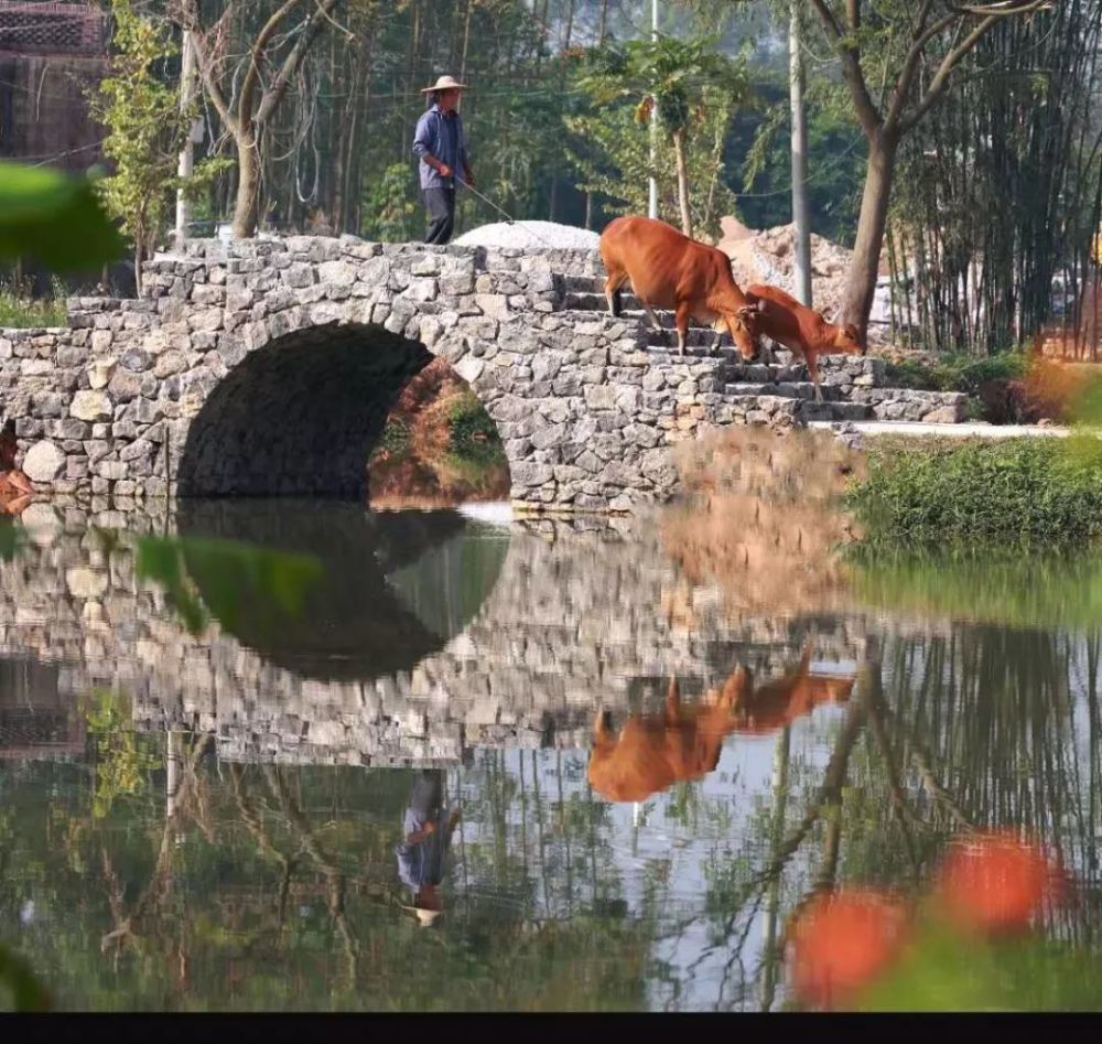 十丈村,玉林,福绵区,广西