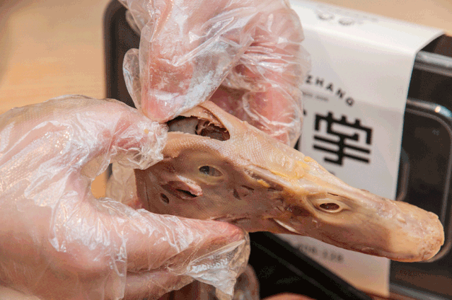 9元起抢宝龙【对掌鸭头】超值套餐!