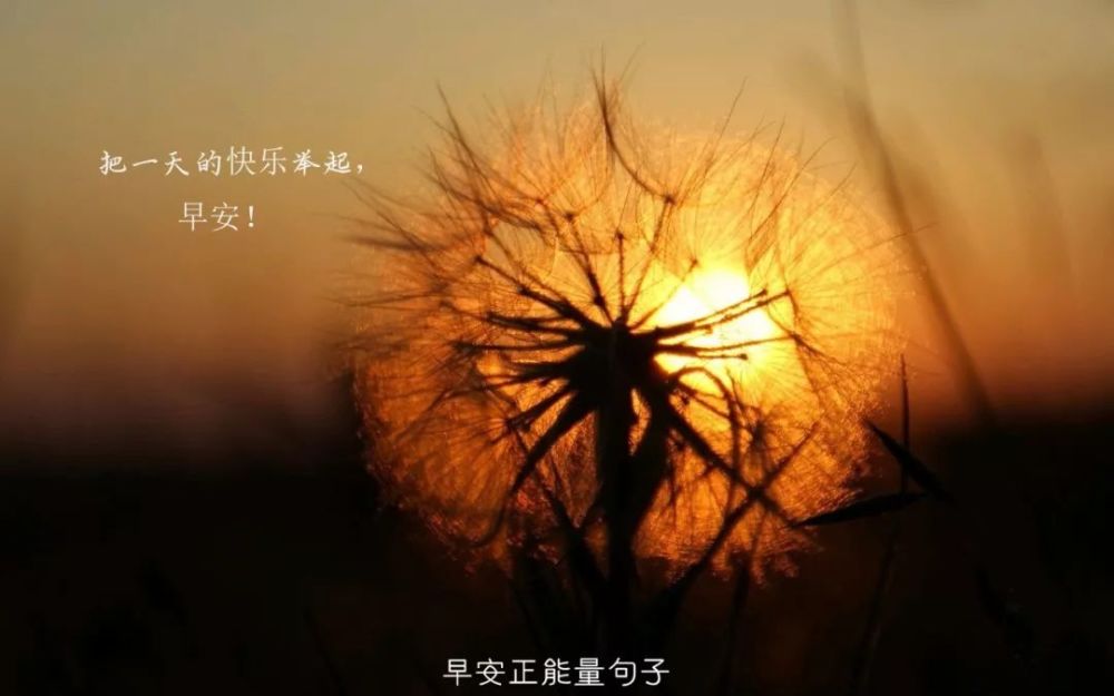 早安带字图片大全唯美 唯美励志图片大全带字