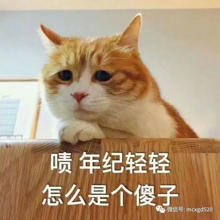 宠物搞笑表情包,猫咪二狗子们简直都是成精的主儿