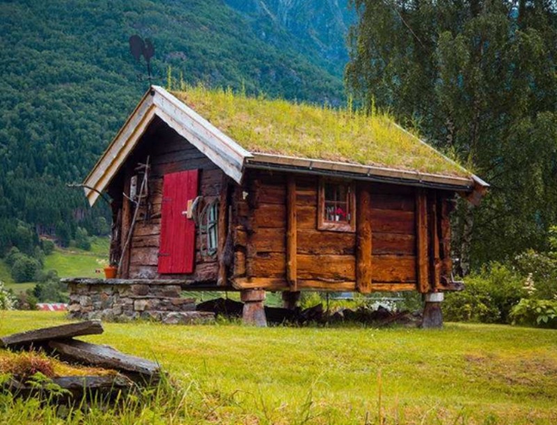 心理测试:你觉得哪个小屋比较适合隐居?测出你嫌弃自己什么