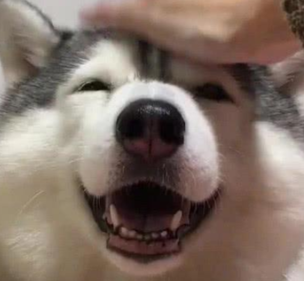 人们习惯性