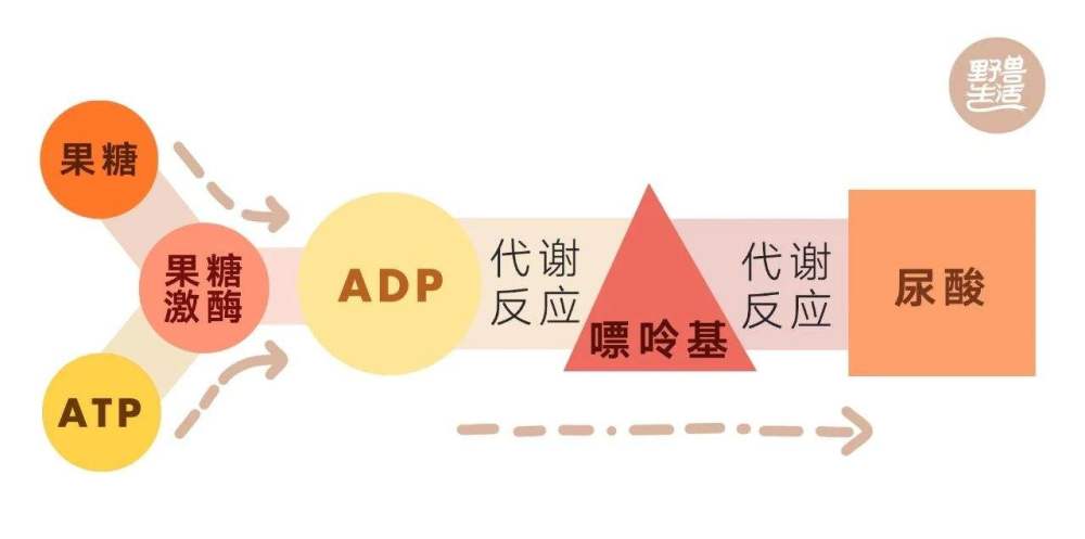 排尿酸 腾讯网