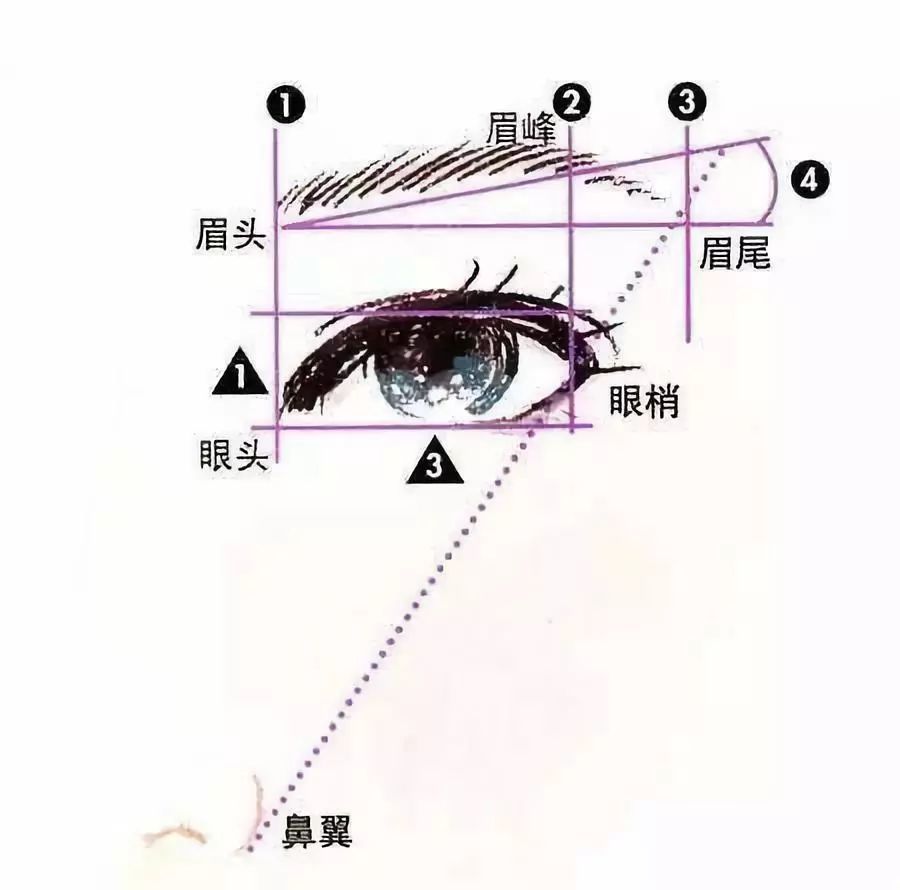 眉毛过长的话,就要先用眉梳分别上下进行梳理,然后把不齐的眉毛剪掉