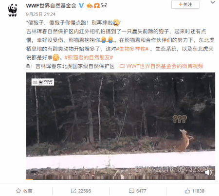 东北网红傻狍子究竟多傻?看完我笑出了声哈哈哈哈哈哈
