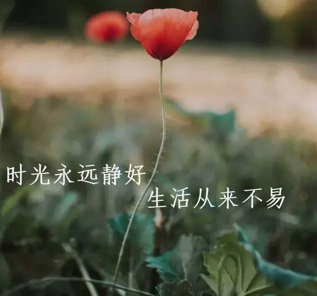 人生哲理心情感悟经典句子,触动人心的一段话