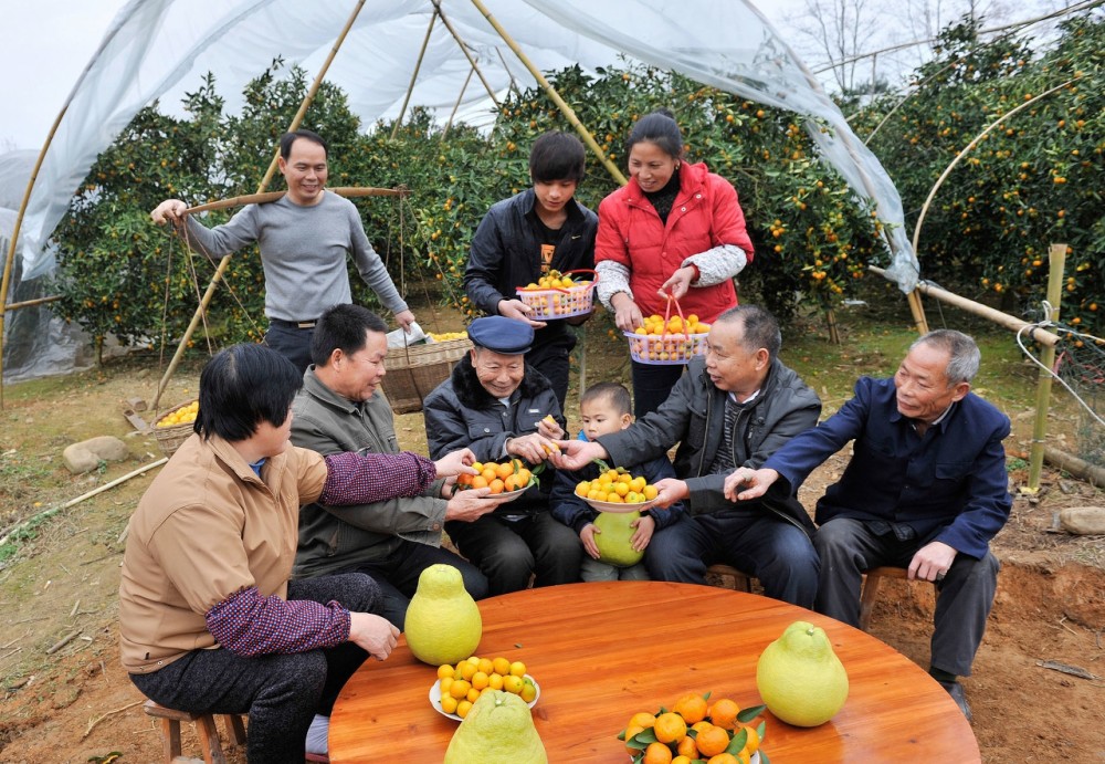 金秋时节,看看农村丰收的场景,感受一下农民的喜悦