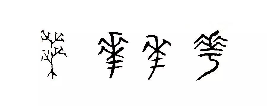 华 "华"字的繁体是"华" 是象形字 在甲骨文中 "华"字上面是盛开的花