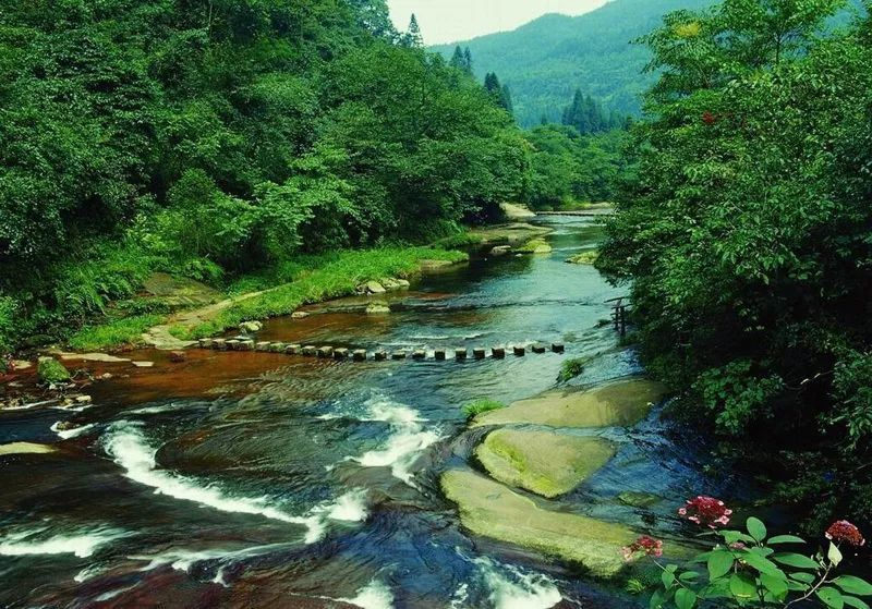 四川,景点,旅游景区,名山县,峨眉山,青城山