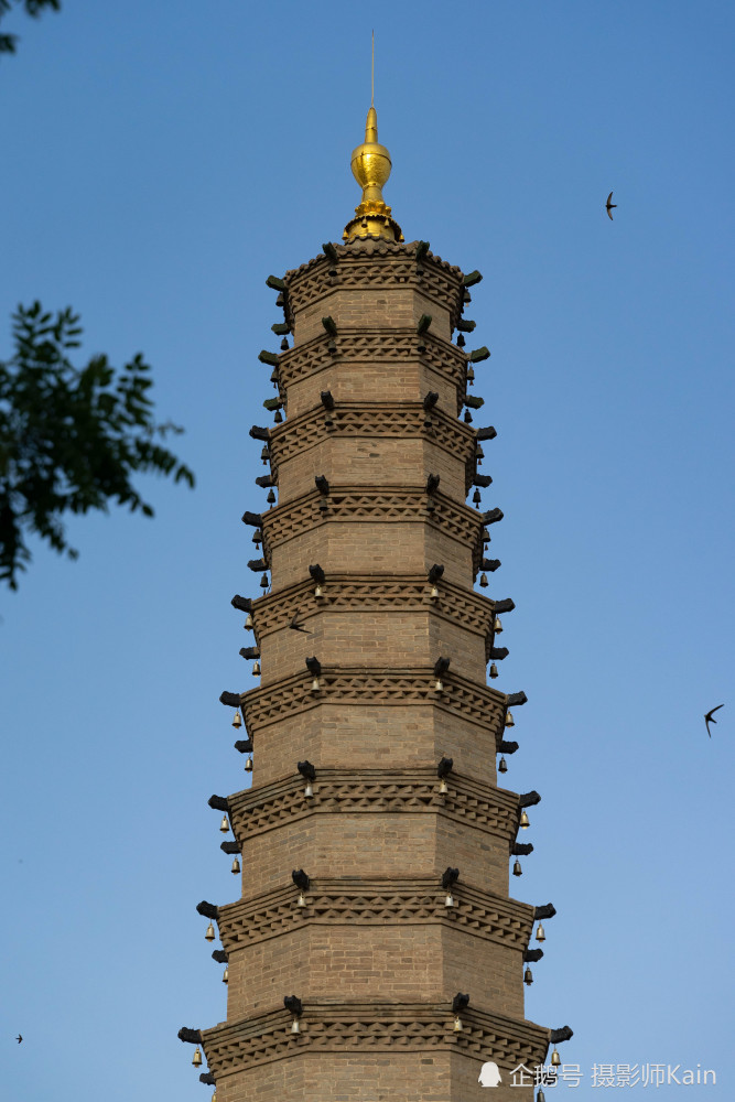 位于武威市中心的这座寺庙中,有一座1600年历史的舍利