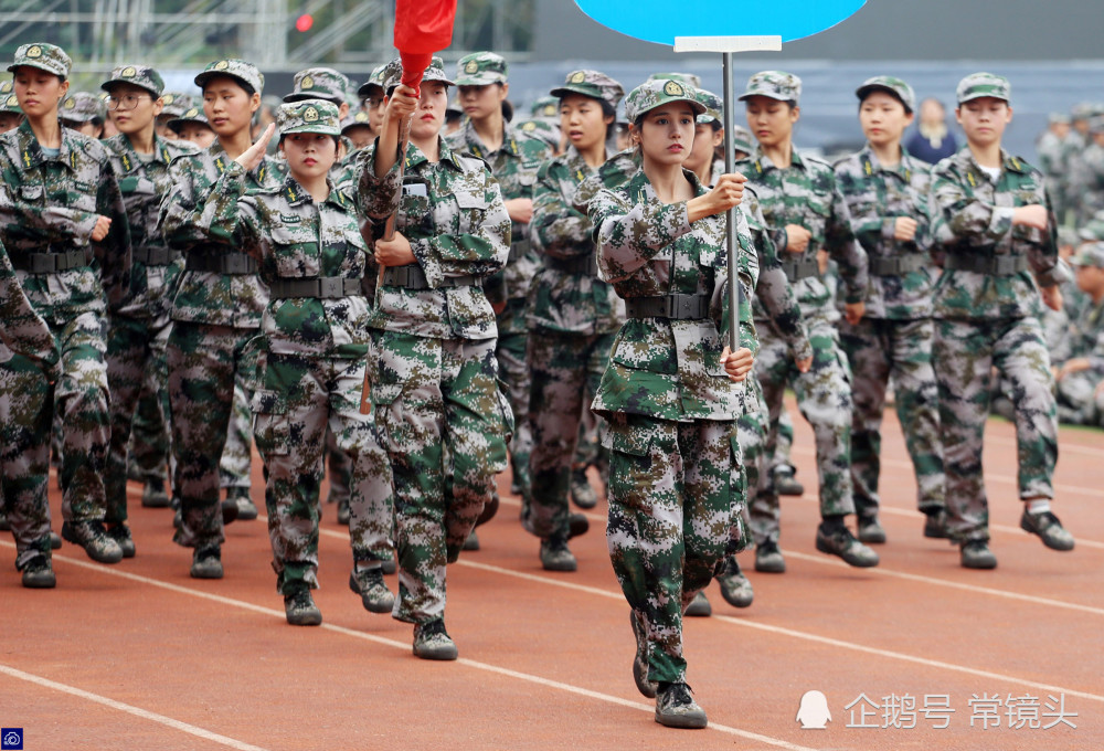 美女大学生,军训,侧颜杀,经纪公司,求签约