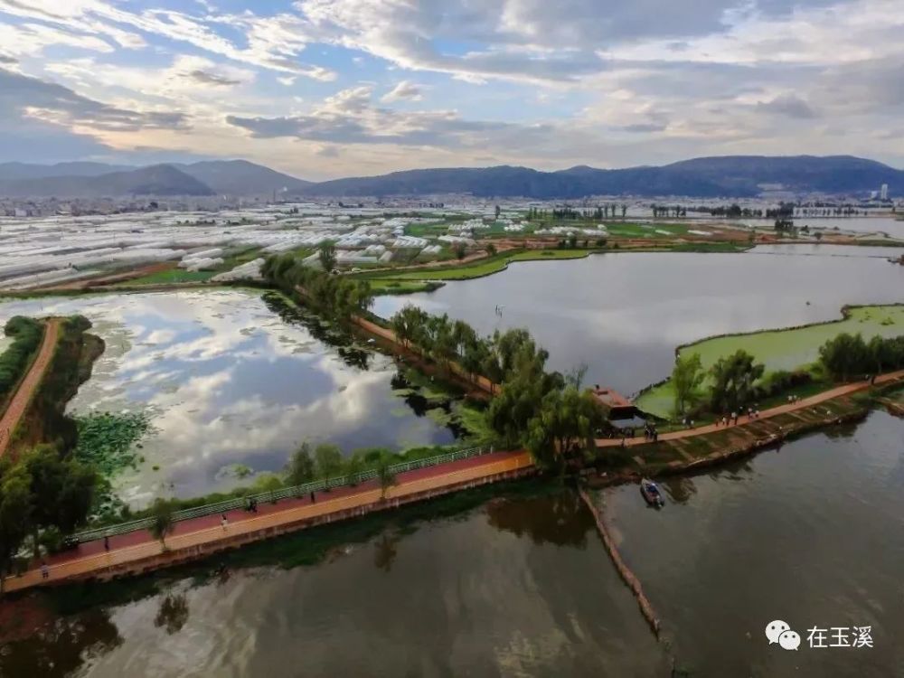 盆景园,国家湿地公园,通海县,杞麓湖,国庆假期,长街