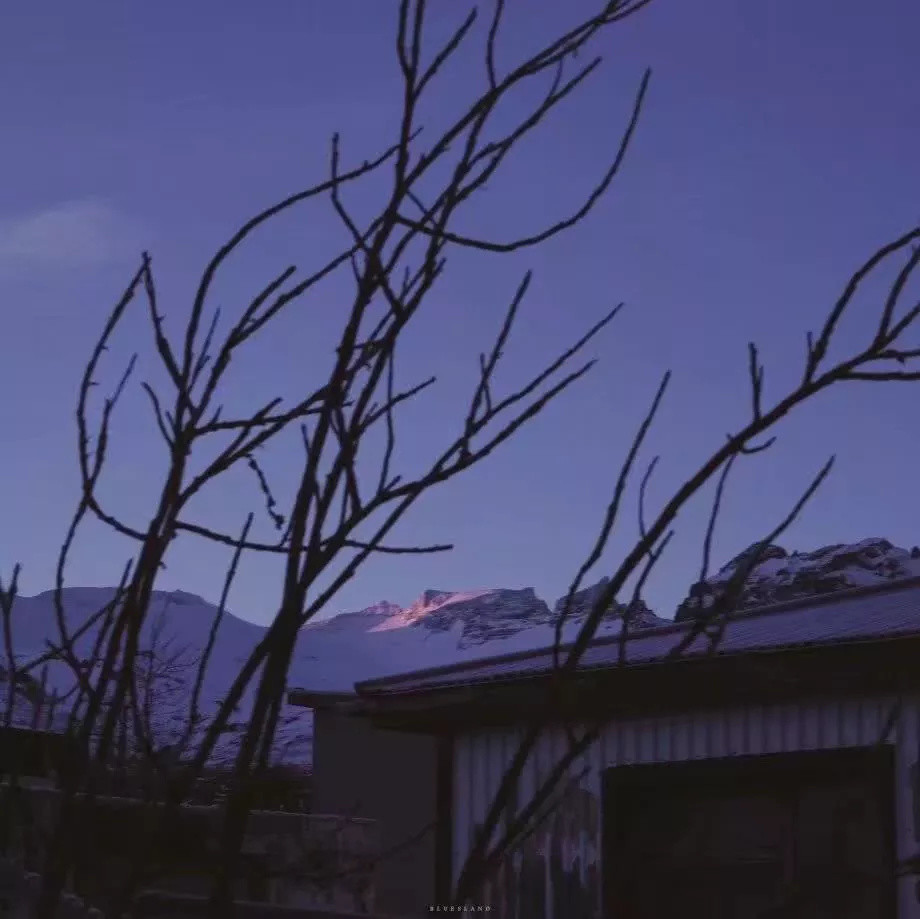 消失的“双十节”——两个在港国民党员的感叹– Wainao, image size:920x919