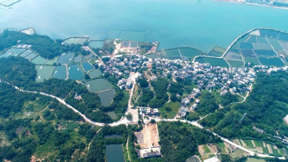 美在阳江乡村·渡头村