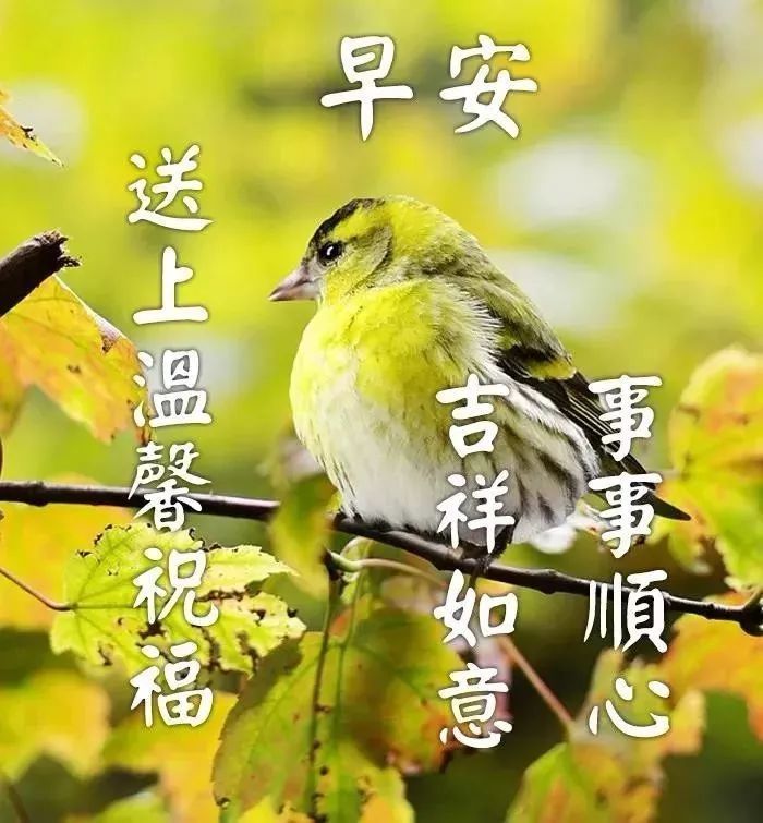 4月27日周个早晨温馨暖心的早上好动态图片大全 早上好阳光问候表情