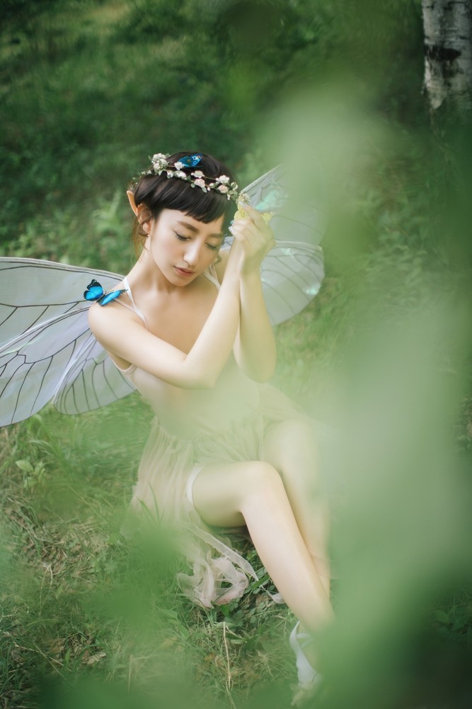森林中的仙女照片