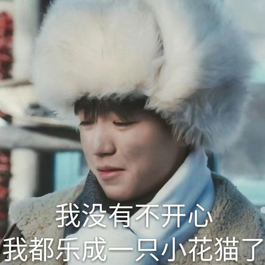 爆笑王俊凯表情包来袭:我没有不开心,我都乐成一只小花猫了!