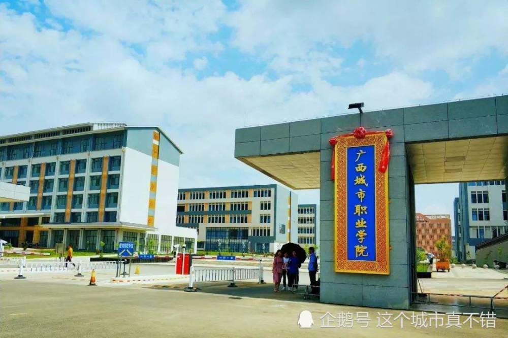专科,郑州工程技术学院,改名,大学,广西,本科