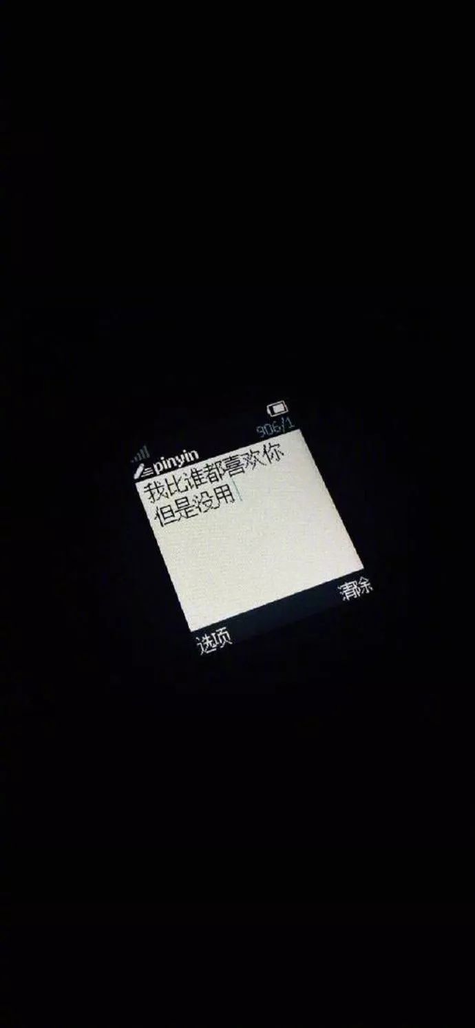 抖音火爆壁纸,超高点赞