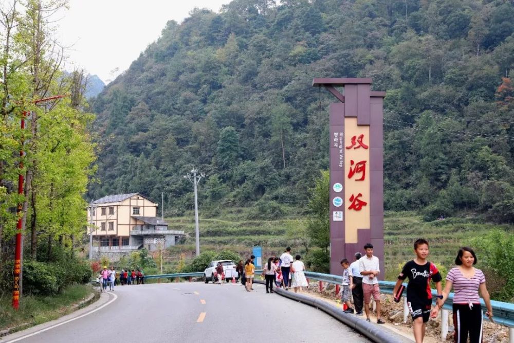 双河洞,景区,绥阳县,河谷