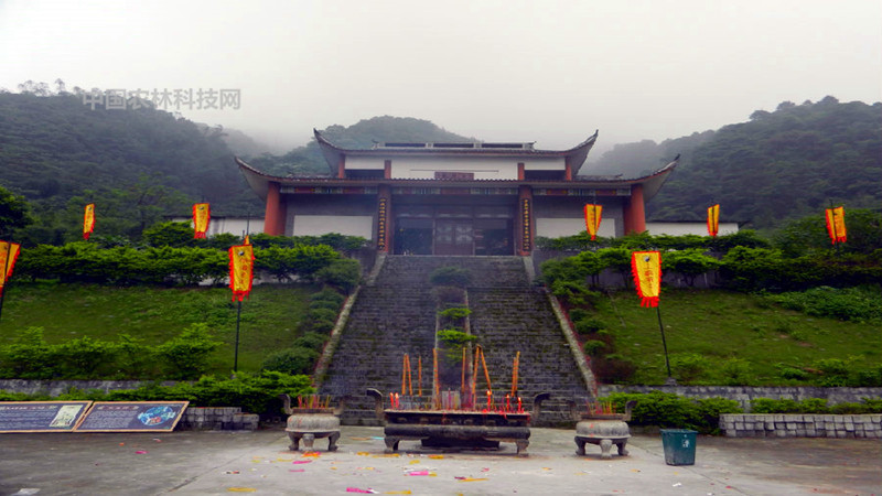 黎塘镇,宾阳县,龙岩山,广西,一品,巨龙
