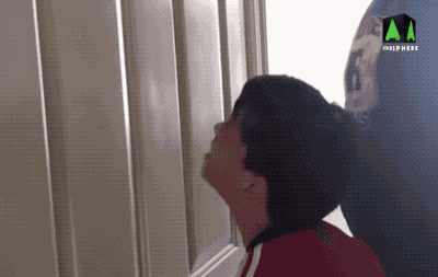 400_253gif 动态图 动图