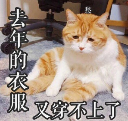 幽默笑话,搞笑段子,表情包,老婆,老爸