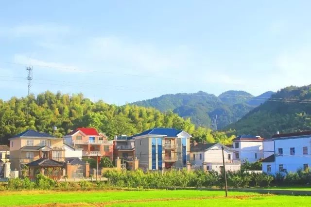 官村,龙游县,南山区,村庄,官道,村落