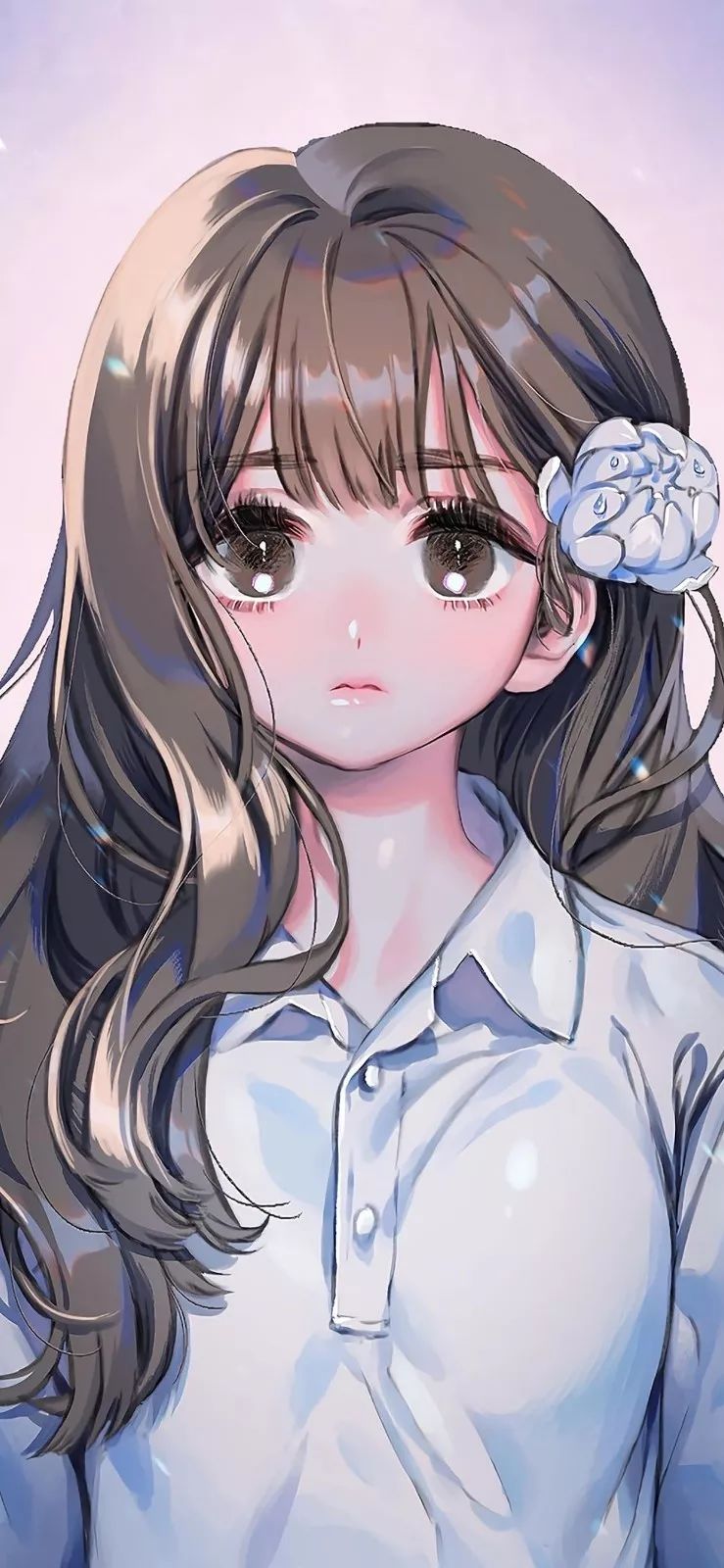 超高颜值高清壁纸