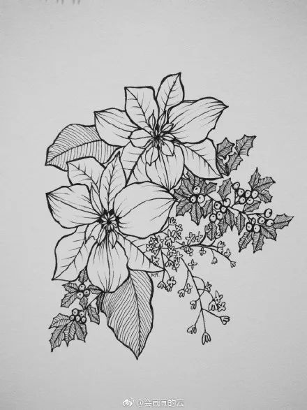 简单易学的线描插画,画完这一波,够你在朋友圈嘚瑟了