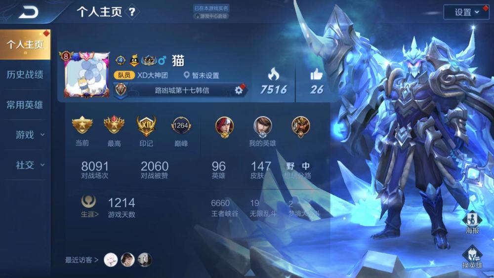 没充钱的王者荣耀主页放什么最有排面?狮心王太寒酸,放它是大神