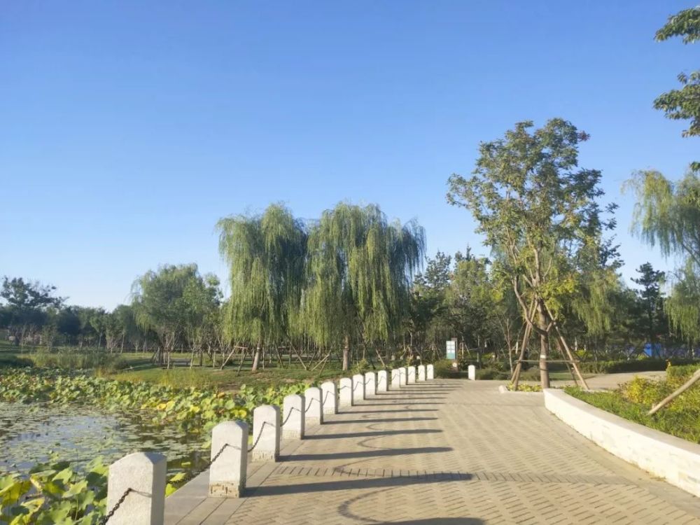 北京这座鲜为人知的公园,野趣天然!关键还
