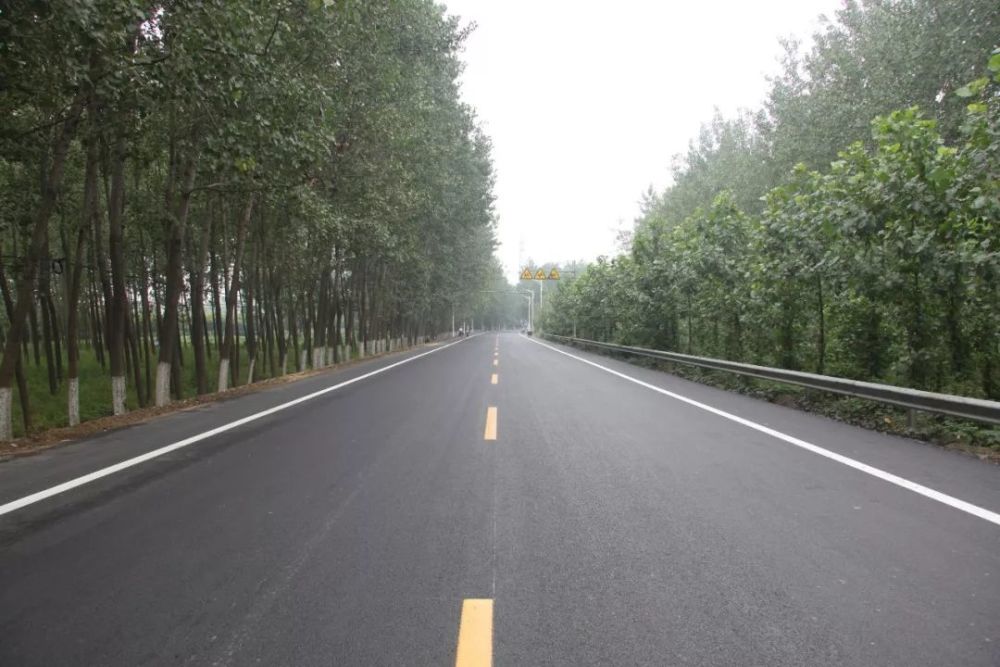 g204,g310,g311,s236,s245,s267,s268,s464等1条高速,8条国省道共329