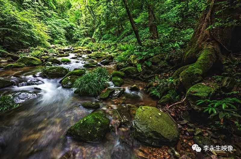 这里是湖南湘西永顺县——小溪国家级自然保护区