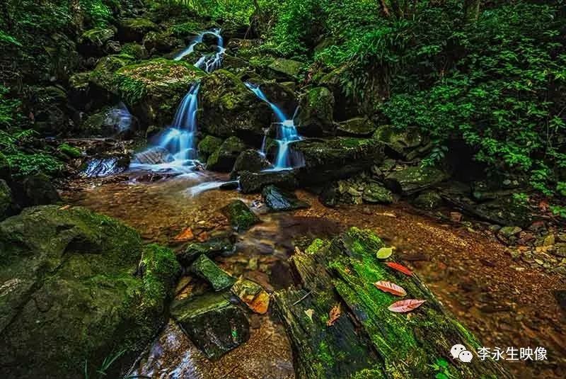 这里是湖南湘西永顺县——小溪国家级自然保护区
