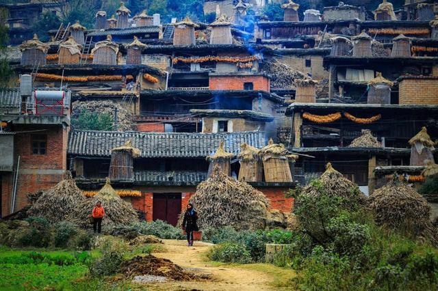 城子古村,土掌房,云南,庭院,彝族