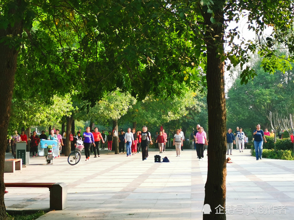 咸阳小树林公园,早上晨练新景象