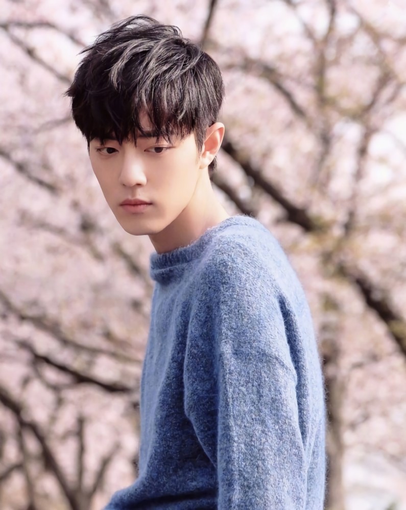 肖战樱花树下拍写真,说不出的飘逸出尘,女生:想扛回家