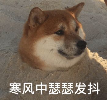 英国货车发现的39具尸体是中国公民?你闻所未