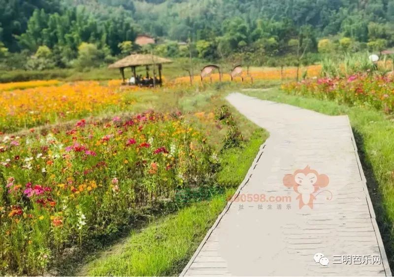 湿地公园,三明,沙县,如意湖,拍照,游玩