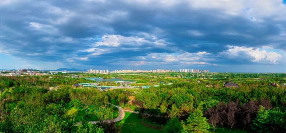秦皇岛,秦皇岛港,崔重辉,森林城市,中铁山桥,北戴河