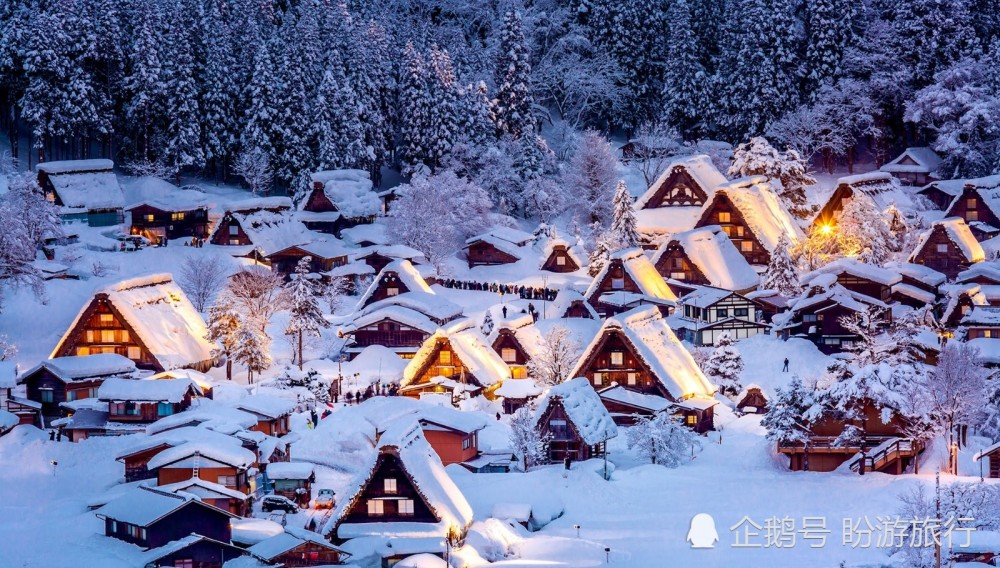 2019日本全国冬季雪景旅游攻略