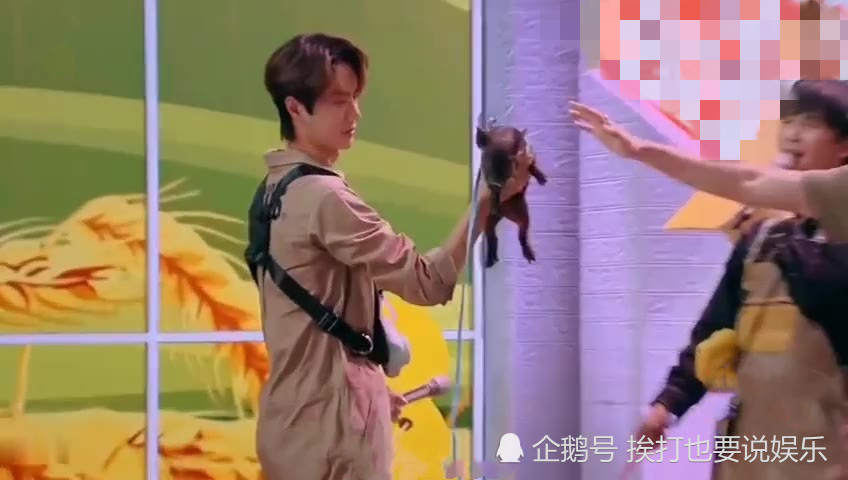 王一博,天天向上,高天鹤,汪涵,大张伟