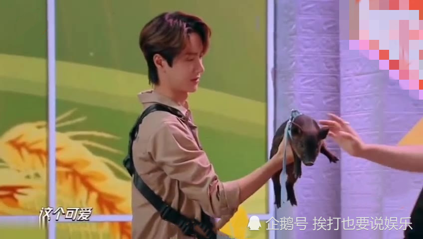 王一博,天天向上,高天鹤,汪涵,大张伟